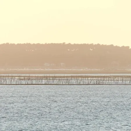 Appartement Hyper Centre