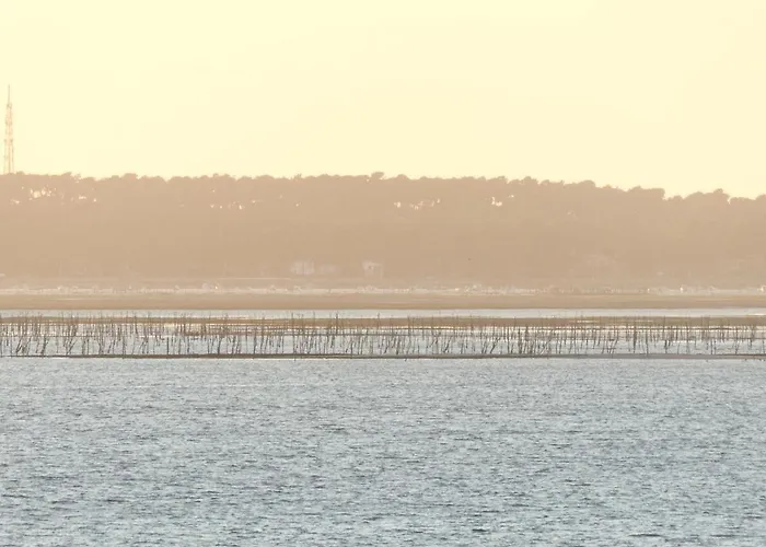 Apartmán Hyper Centre